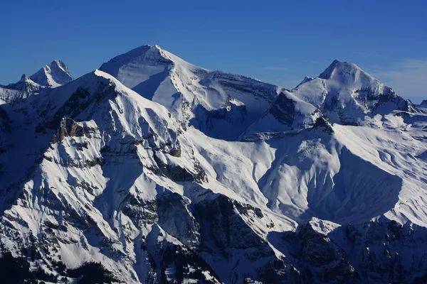 Blick vom Albristhorn zum Bietschorn, Balmhorn/Altels und Rinderhorn