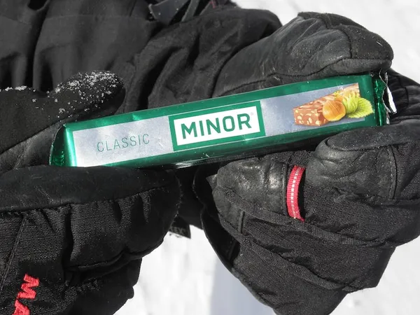 Ein Minor auf dem Piz Minor