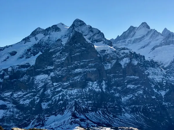 Rosen-, Mittel- und Wetterhorn, Lauteraar-/Schreckhorn und Finsteraarhorn