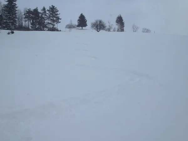 Ein paar butterweiche Schwünge im tiefen Schnee