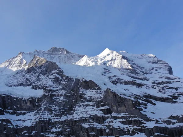 Blick zur Jungfrau und zum Silberhorn, das von der Sonne beschienen wird