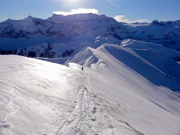 Rückblick über den Laveygrat. Dahinter der Wildstrubel