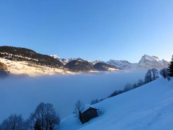 Morgenstund halt Gold im Mund: Schon nach wenigen Aufstiegsminuten befinden wir uns über der Nebelgrenze