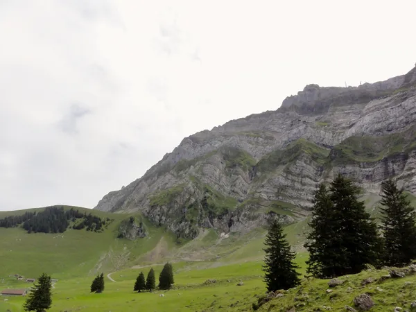 Blick zur Chammhalden