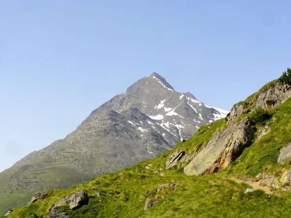 Mettelhorn