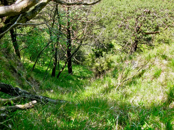 Hier geht's zur Sache!