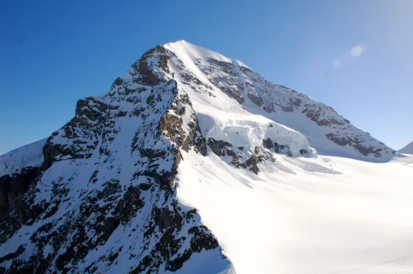 Mönch in seiner vollen Pracht