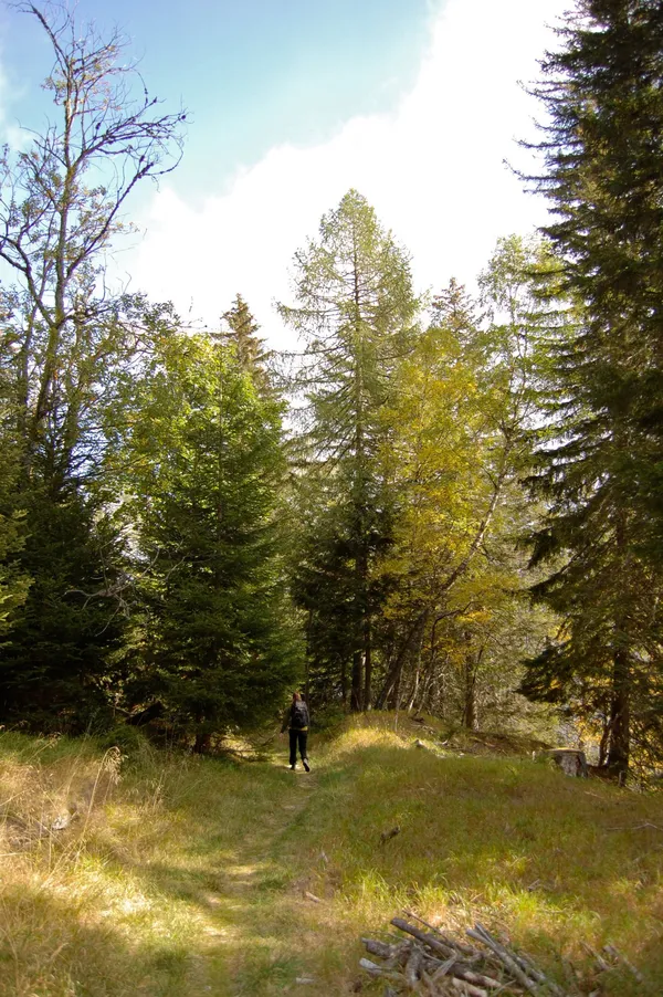 Wanderung durch den Wald bei Cavaglia