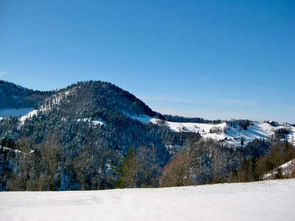 Aufstieg aus dem Brüttentobel