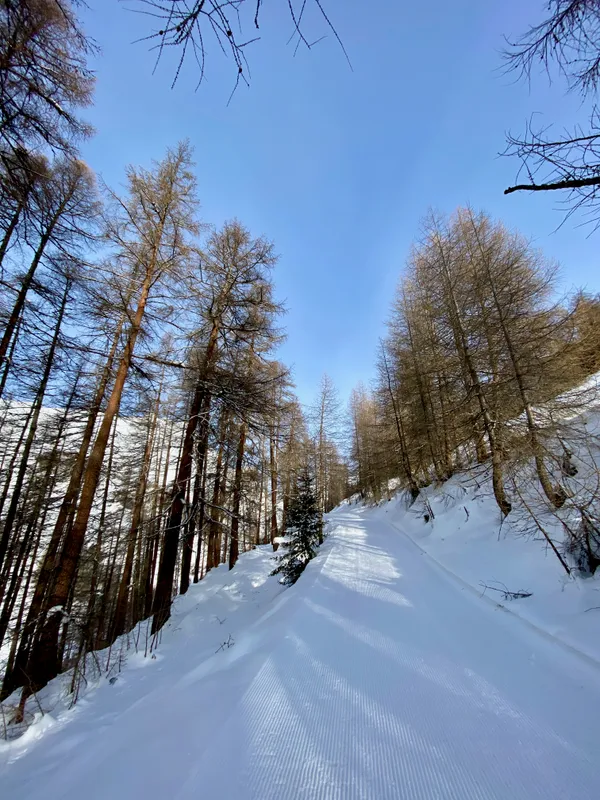 Auf dem präparierten Weg