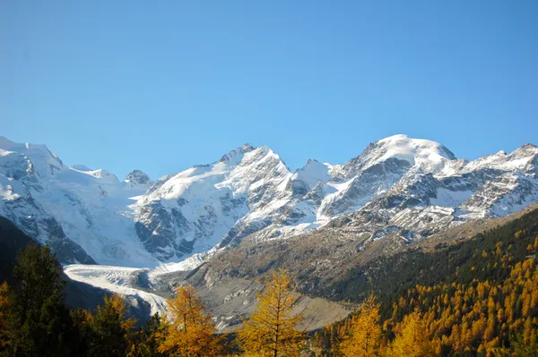 Blick von Morteratsch zum Piz Bernina