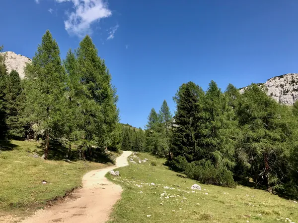 Lieblicher Weg zum Rifugio Città Di Carpi