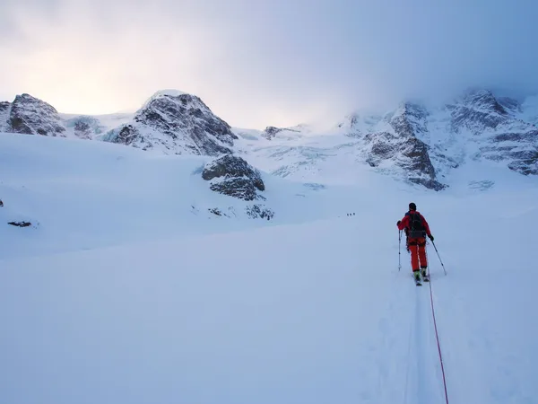 892825 621297477883937 1874786787 O.jpg