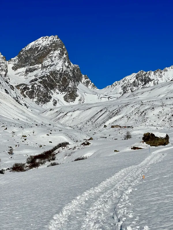 Blick über die Alp Suot zum Piz Buin