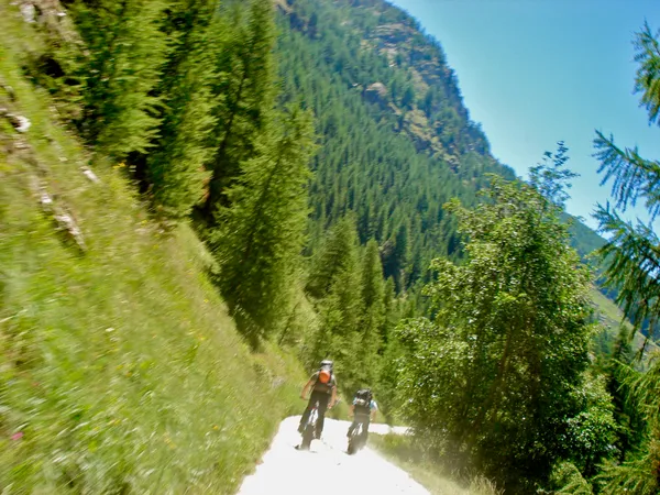 Rasante Abfahrt vom Kreuzboden nach Saas Grund mit den Riesentrottis