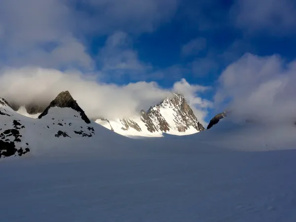 Blick über den Studergletscher zum Finsteraarhorn