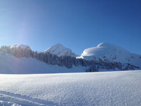 Brisi, Frümsel, Selun