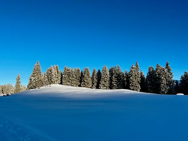 Winterliche Morgenstimmung