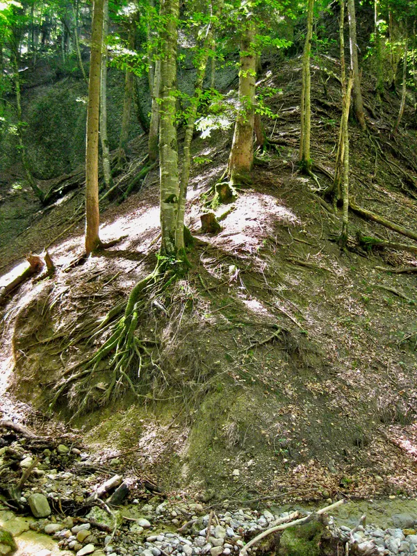 Einstieg in den - anfangs noch ausgeprägten - Sporn