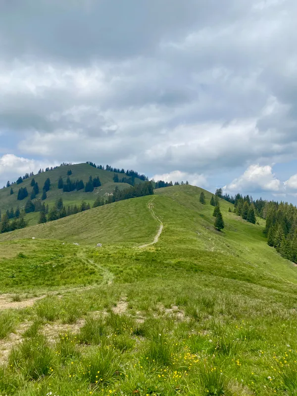 Weiter zum Brüschstockbügel