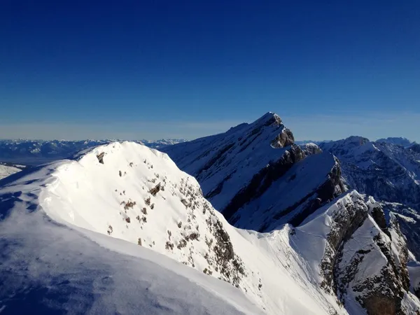 Vorderselun und Frümsel