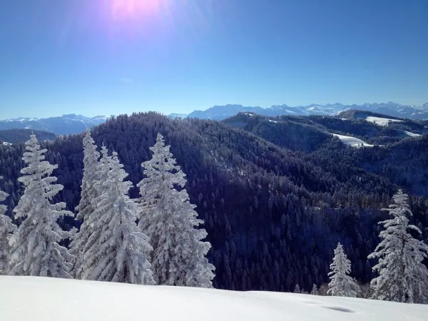 Bald auf dem Schnebelhorn. Blick in die Voralpen