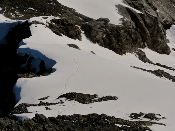 Unsere Aufstiegsspur