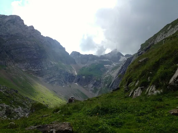 Blick vom Mesmer zum Säntis