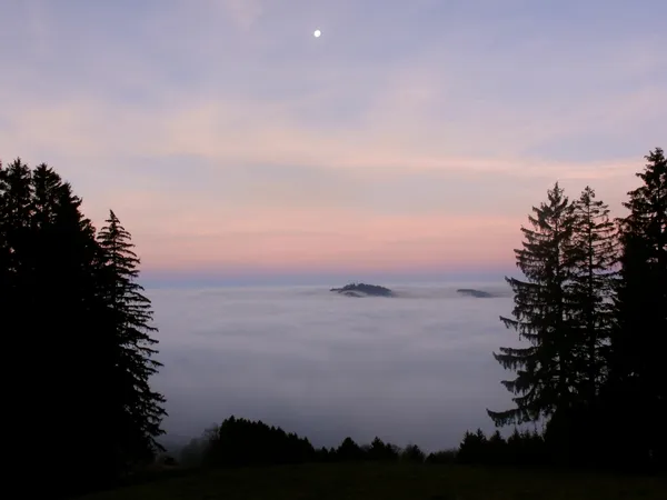 Am Morgen danach: Der Bachtel schwimmt im Nebelmeer