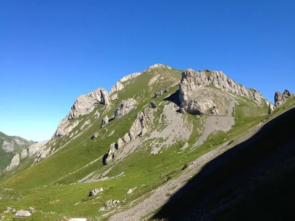 Blick zurück zur Marwee