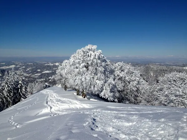 Verschneite Landschaft auf dem Gipfel des Schnebelhorns