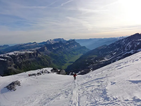 Oben weiss, unten grün