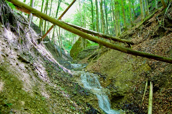Wildromantischer Bachlauf im Beschtentobel