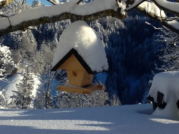 Verschneites Vogelhaus