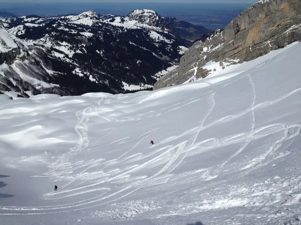 Tolle Verhältnisse am Mutteristock