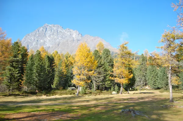 Blick zum Corn da Camp