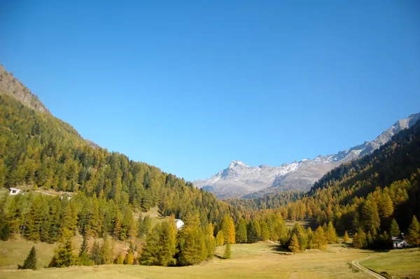 Blick ins Val da Camp