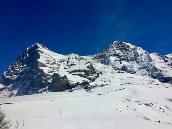 Ein letzter Blick zurück zu Eiger und Mönch