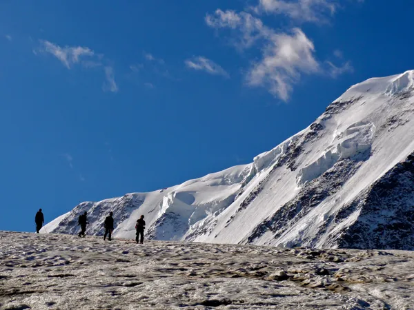 Eine Seilschaft vor dem Eisriesen Liskamm