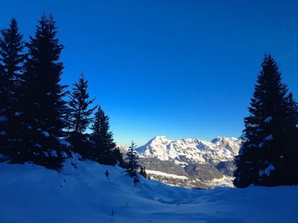 Blick zum Lütispitz etc.