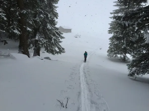 Im Bereich Schaienrossberg