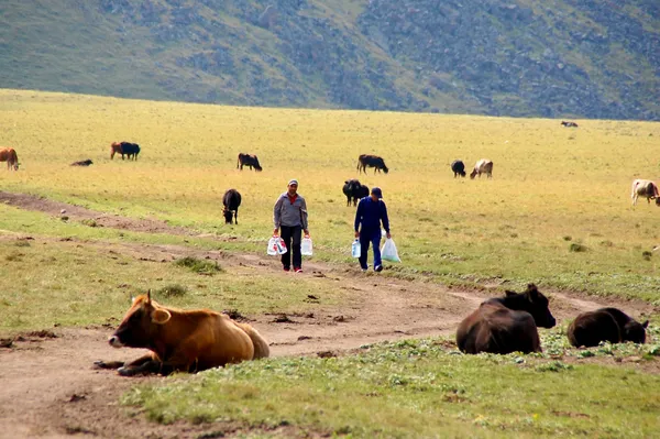 Viele kommen mit dem Auto nach Dzhyly-Su und wandern dann zu den Silver Springs, um Wasser zu holen und ein Bad zu nehmen.
