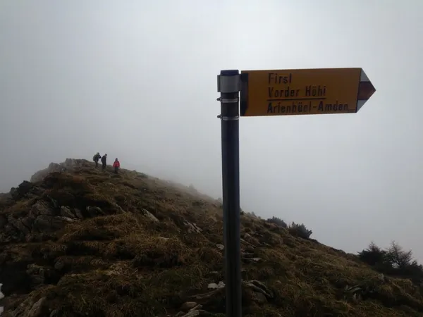 Wieder im Nebel gefangen