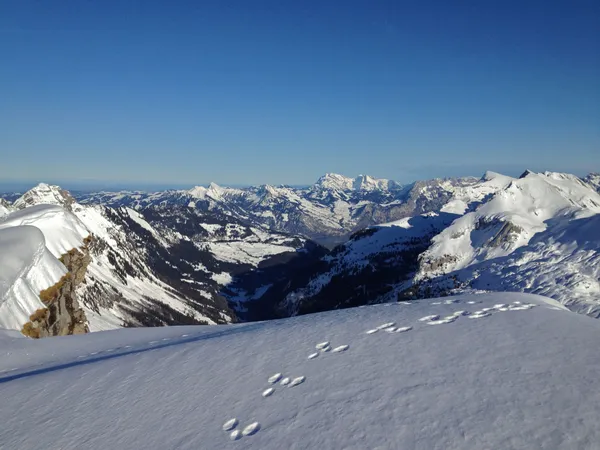 Und ein Blick Richtung Alpstein