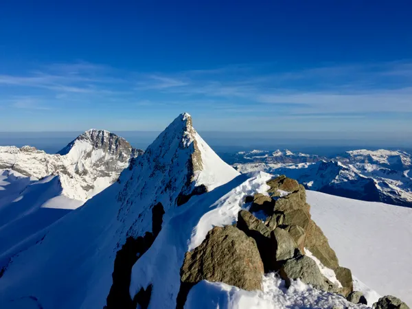 Blick vom Hinter Fiescherhorn zu Gross Fiescherhorn und Eiger (hinten)