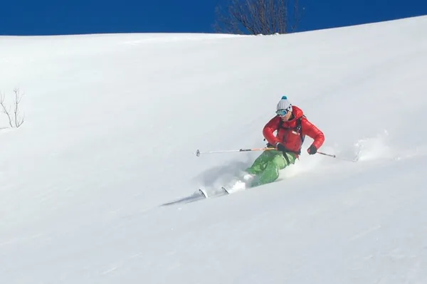 Felix in seinem Element