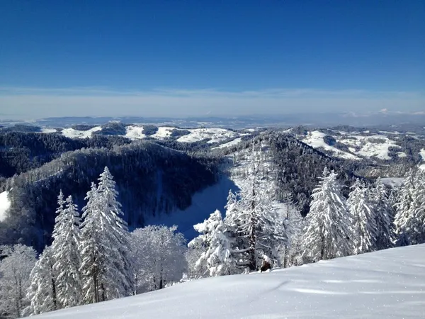 Blick ins Toggenburg