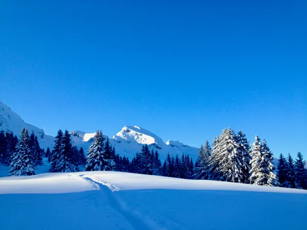 Und die ’neuen‘ Churfirsten