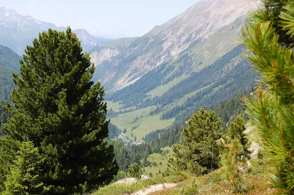 Blick vom Hüttenweg hinunter nach Chants