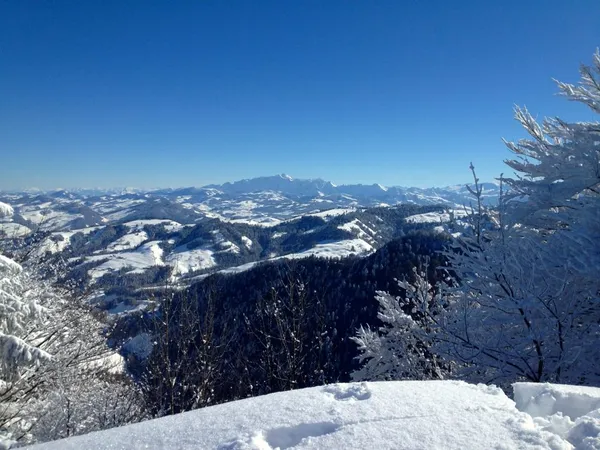 Blick zum Alpstein
